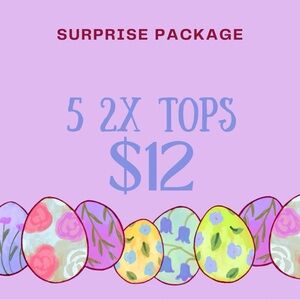Surprise Package: Lot of 5 2X Tops
